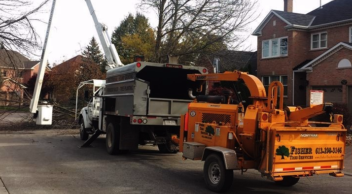 fisher tree services working to remove a tree that had fallen onto a roadway.