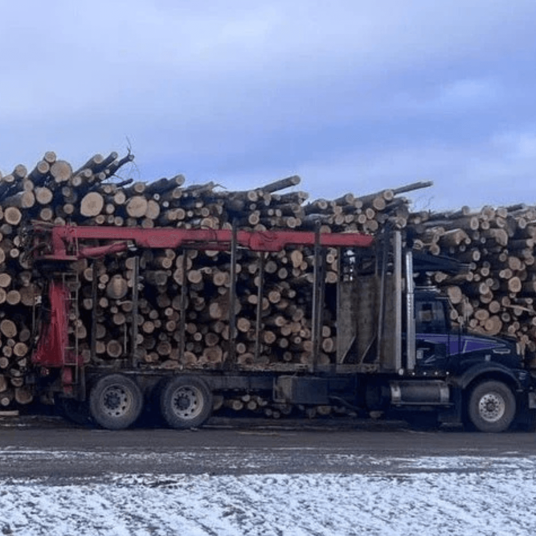 Tandem Load of Firewood Logs