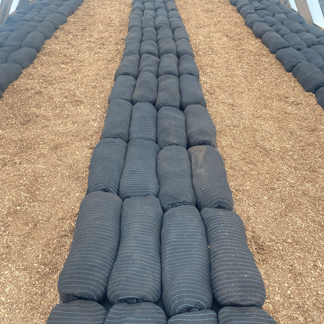 Sock & Grow - Image 2