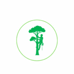 Tree Trimming and Pruning Ottawa